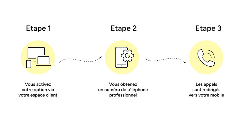Numéro téléphone pro
