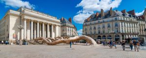 Domiciliation Nantes | Einstein